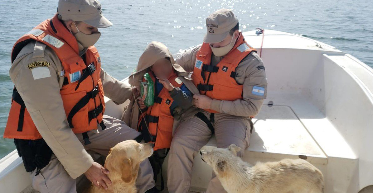 Niño con autismo se perdió en la noche y sobrevivió al frío por el abrazo de dos perros