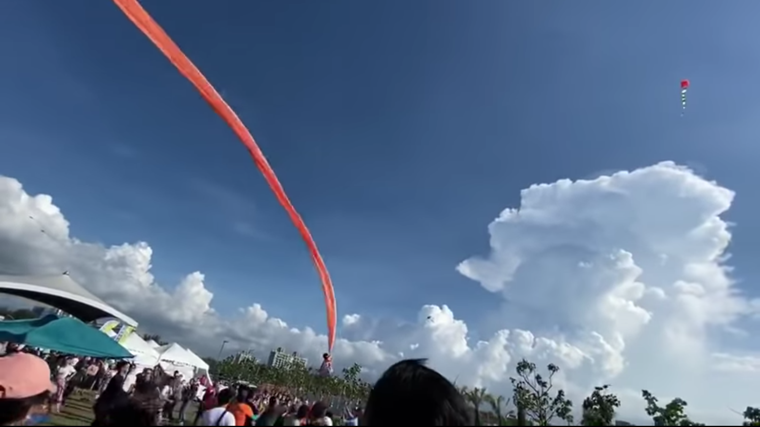 Microinfarto: Papalote levanta a una niña de tres años y la hace volar por los aires