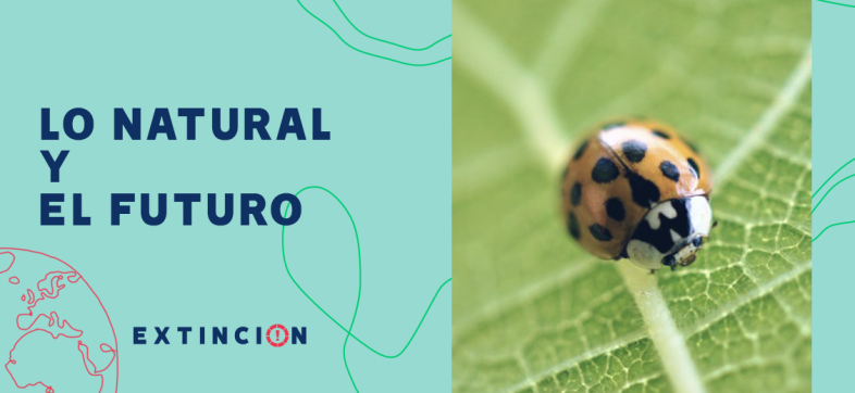 extincion-natural-futuro-biodiversidad