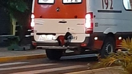 Esta perrita logró subirse a una ambulancia para acompañar a su dueño al hospital