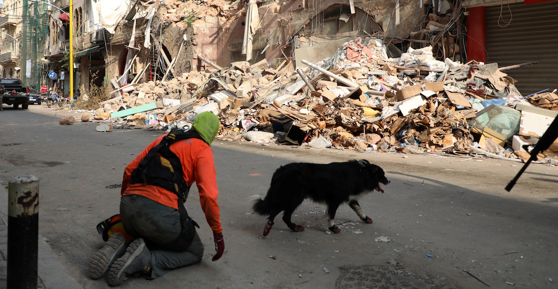 rescatistas-perrito-beirut-libano-explosion