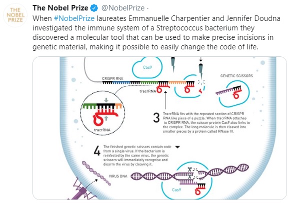 nobel de quimica3