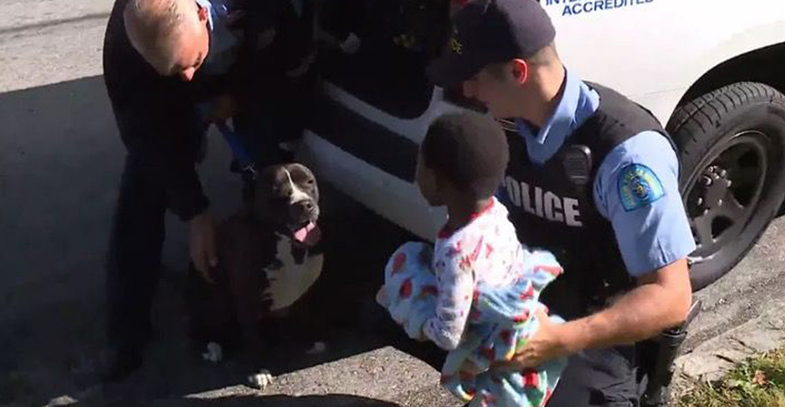 Perrito callejero cuida a un niño que estaba perdido hasta que su papá lo encontró