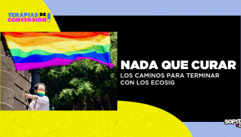 terapias-conversion-ecosig-mexico-prohibir-ilegal-como-ley-camino-lgbt