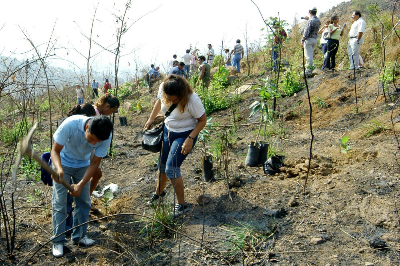 ACAPULCO GUERRERO 05JUNIO2007.-Siembra de árboles durante el Día Internacional del Medio Ambiente en el cerro de la colonia María de la O que esta dentro del Parque Nacional El veladero y que es un pulmón Natural de la Nación.<br />