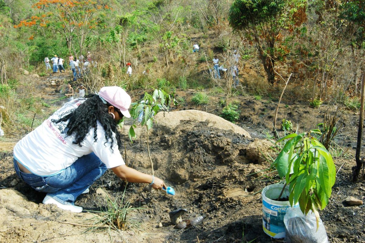 ACAPULCO GUERRERO 05JUNIO2007.-Siembra de árboles durante el Día Internacional del Medio Ambiente en el cerro de la colonia María de la O que esta dentro del Parque Nacional El veladero y que es un pulmón Natural de la Nación.FOTO: ERIC MIRALRÍO/CUARTOSCURO.COM