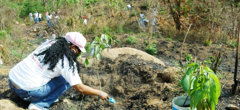 ACAPULCO GUERRERO 05JUNIO2007.-Siembra de árboles durante el Día Internacional del Medio Ambiente en el cerro de la colonia María de la O que esta dentro del Parque Nacional El veladero y que es un pulmón Natural de la Nación.FOTO: ERIC MIRALRÍO/CUARTOSCURO.COM