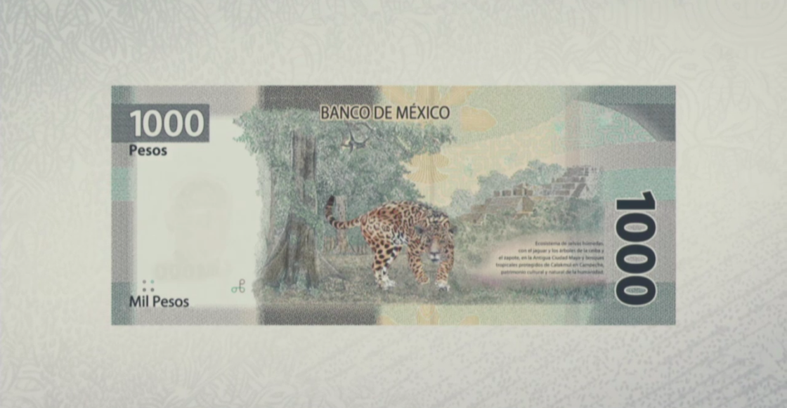 nuevo-billete-mil-1000-pesos-revolucion-madero-galindo-serdan-fotos-detalles-06