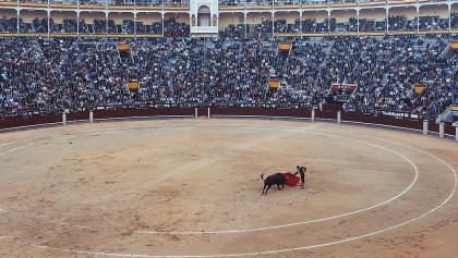 toros-fiesta-brava-españa