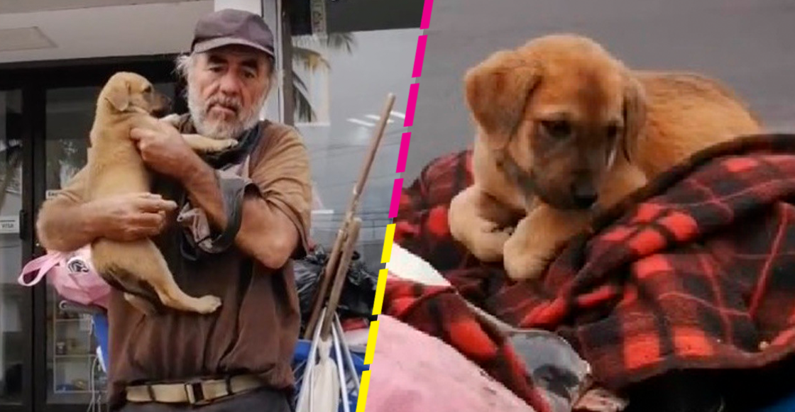 Don Miguel y Traviesa: Abuelito en situación de calle pide ayuda para encontrar a su perrita