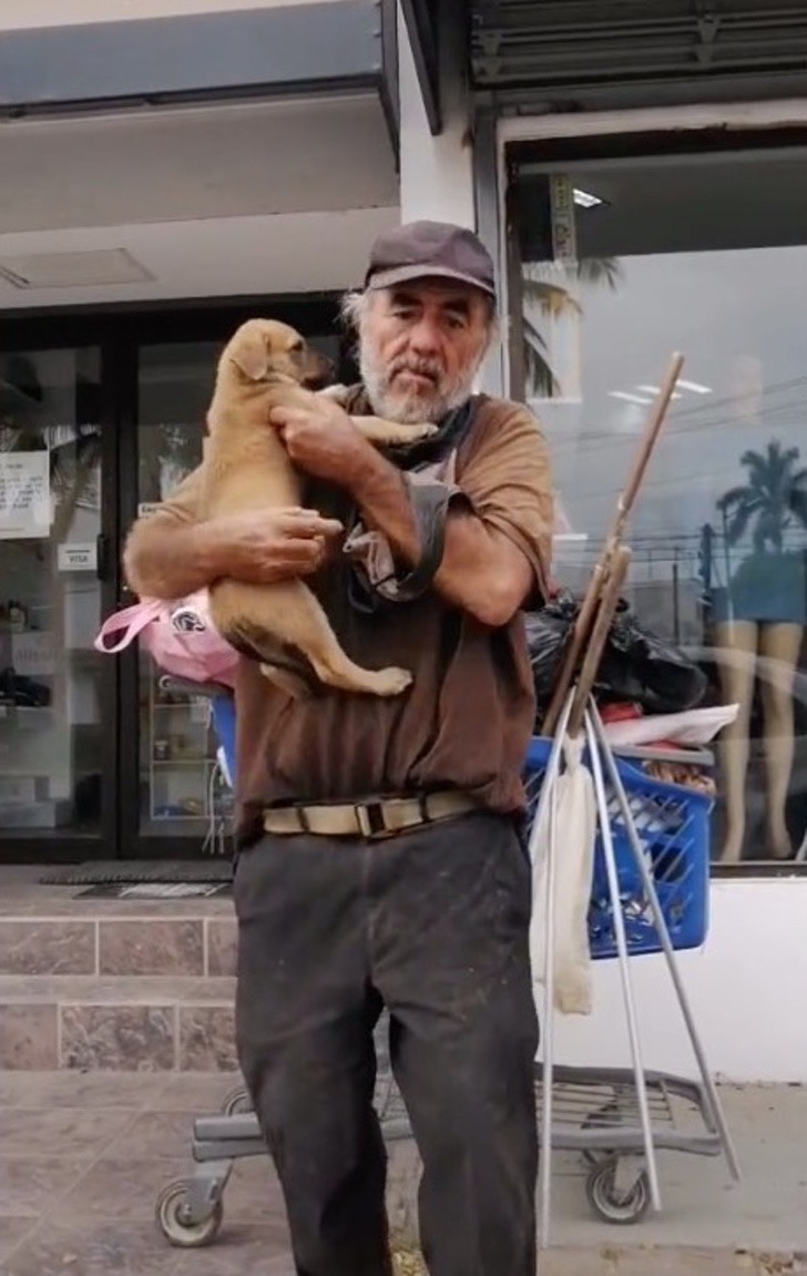 Don Miguel y Traviesa: Abuelito en situación de calle pide ayuda para encontrar a su perrita