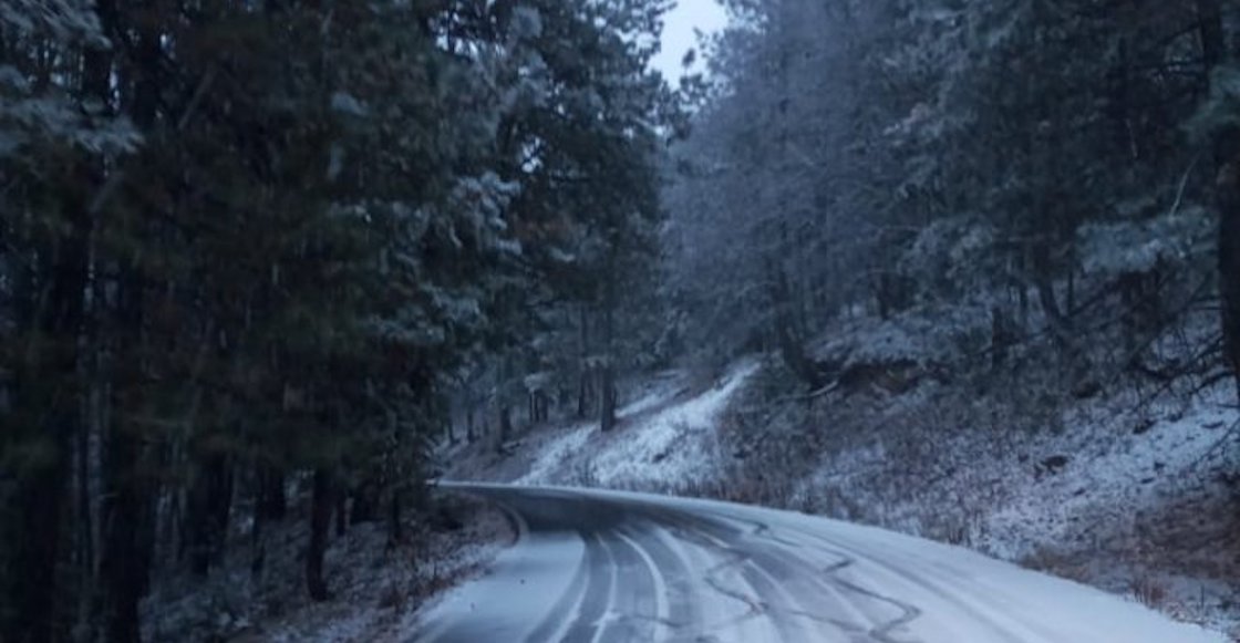 chihuahua-frio-carretera