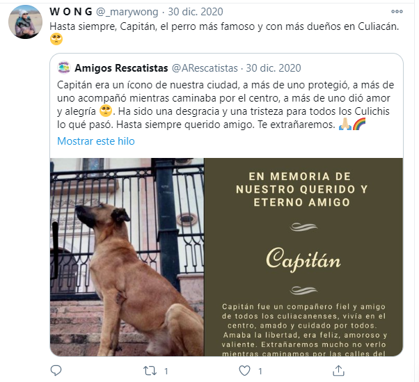 Lagrimita mil: Gente recuerda a Capitán, el 'Hachiko' de Culiacán que todos amaban