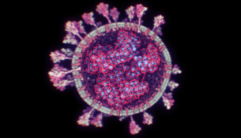 imagenes-foto-coronavirus-3d-covid-sars-cov-2-hd-molecular-02