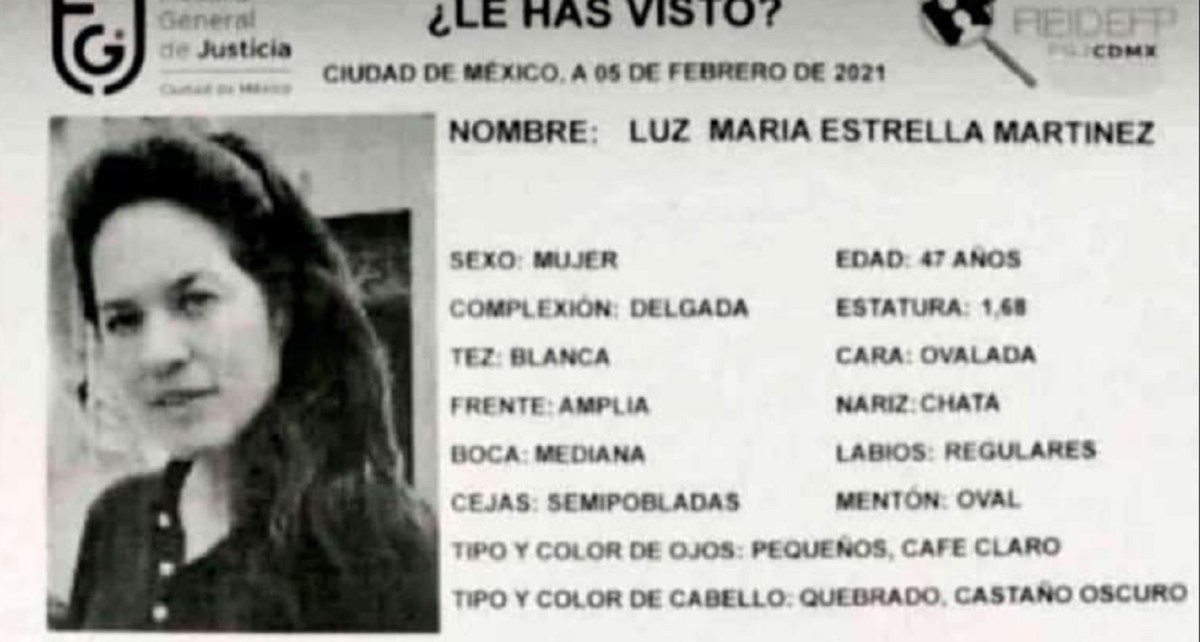 desaparece maestra ipn luz maria estrella