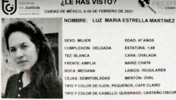 desaparece maestra ipn luz maria estrella