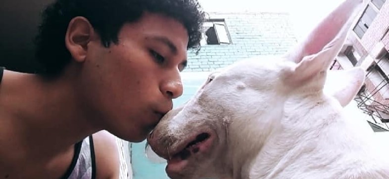 Este joven hizo su tesis sobre la muerte de su perrito