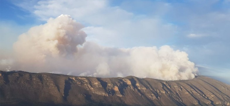 incendio-coahuila-nuevo-leon