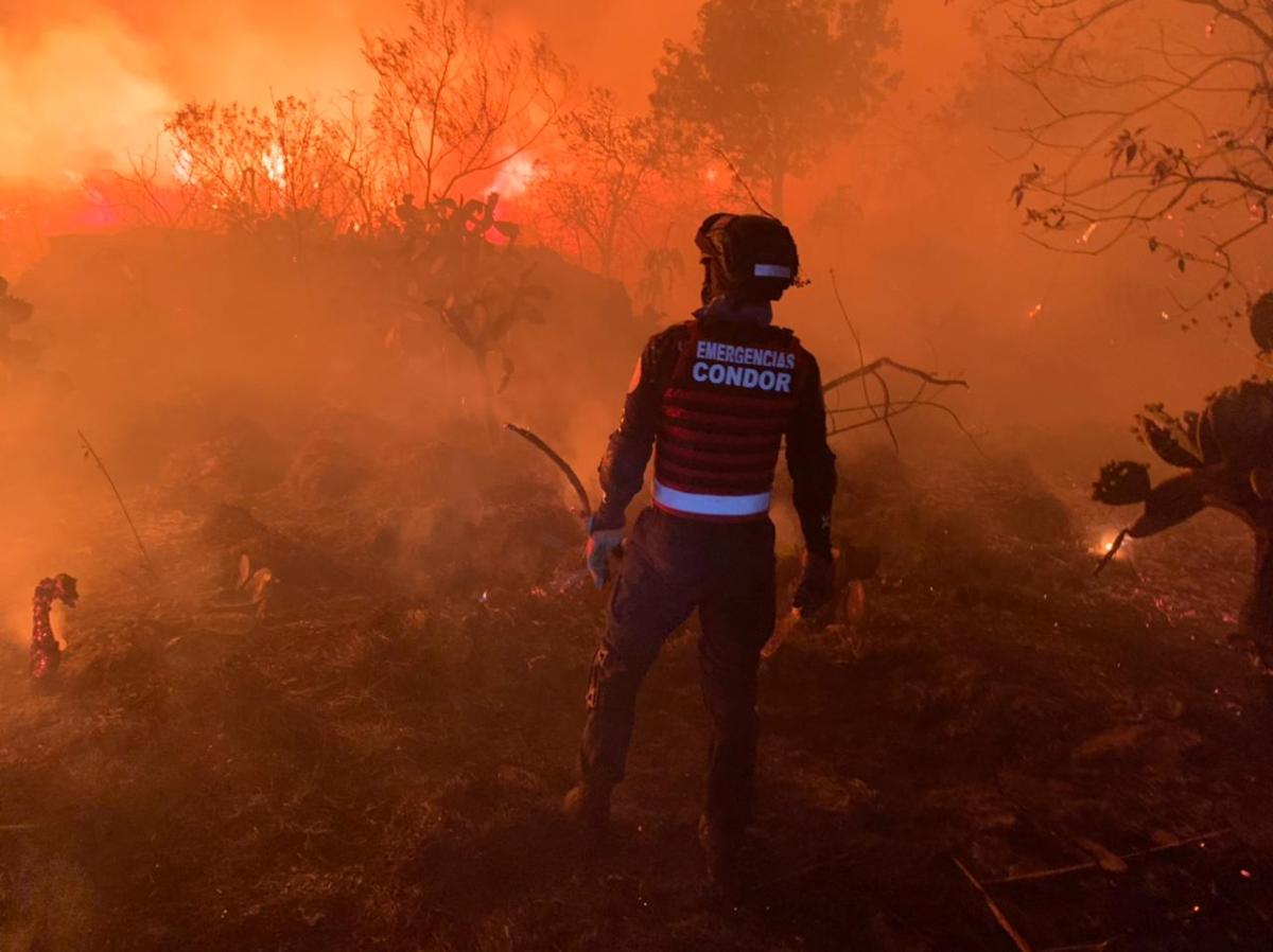 incendio tlalpan fuentes del pedregal tv azteca 1