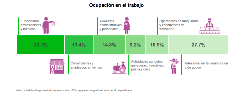 ocupación-mexico-inegi