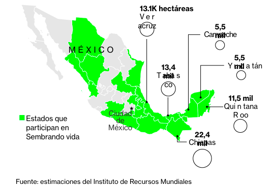 sembrando-vida-mexico-bloomberg