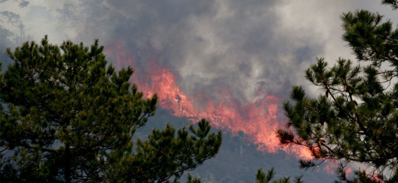 incendio-forestal-mexico