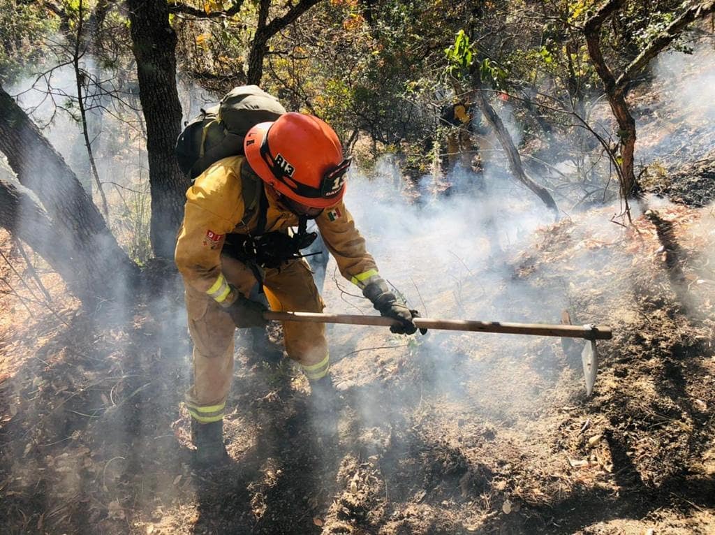 incendio-nuevo-leon-fuego