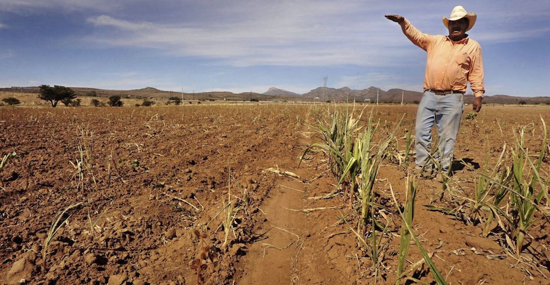 durango-sequia-municipios-segob