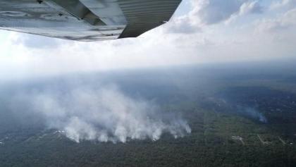 incendios-playa-carmen-vida-silvestre