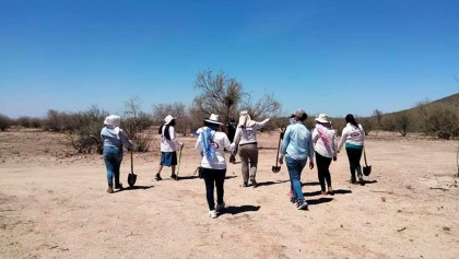 madres-buscadoras-sonora-busqueda