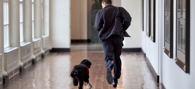 Murió Bo, el perrito de los Obama