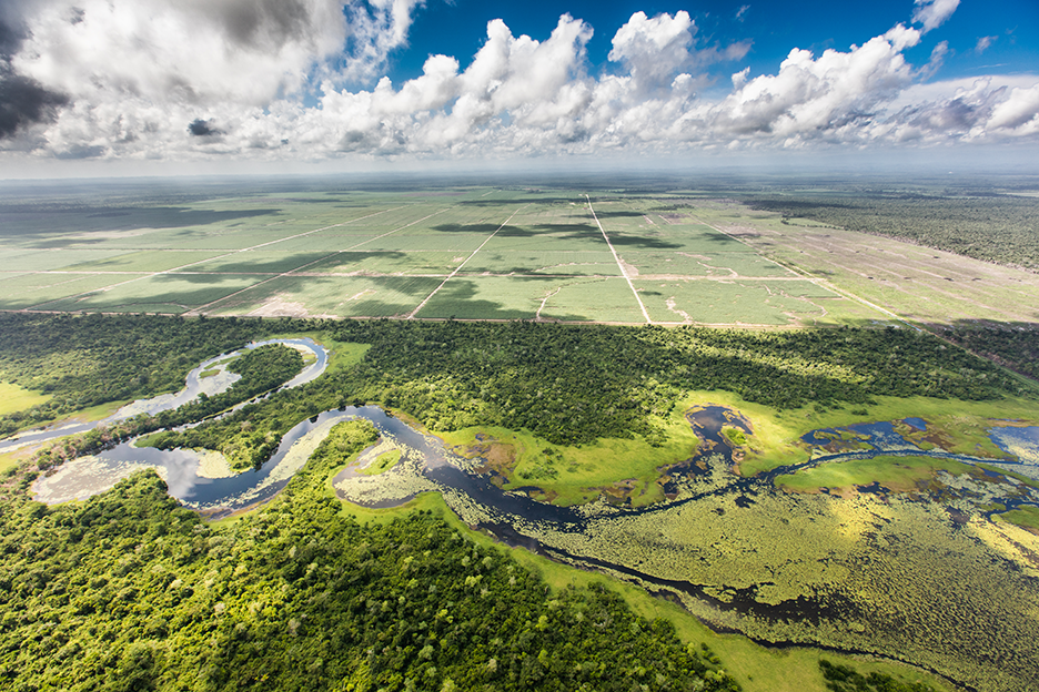 ¡Bien ahí! Belice protege 100 mil hectáreas de Selva Maya para la conservación del jaguar