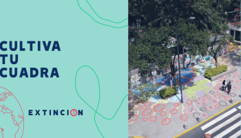 extincion-cultiva-tu-cuadra-cdmx