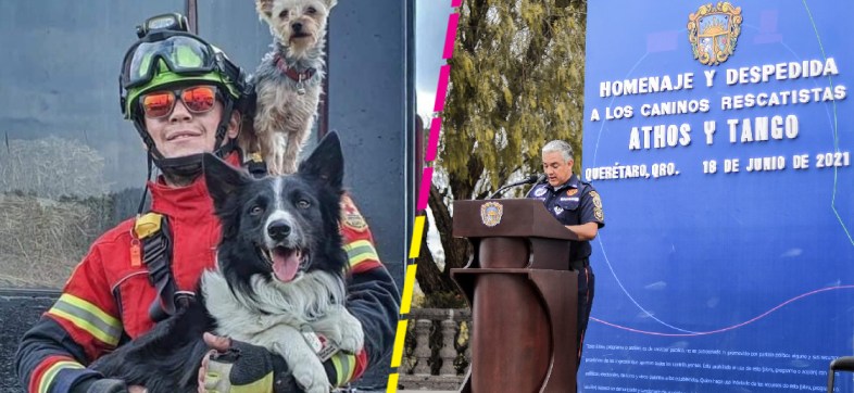 Despiden con homenaje a Tango y Athos, perritos rescatistas de la Cruz Roja que fueron envenenados