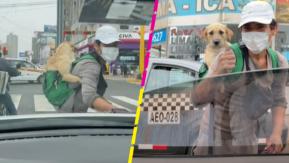 Awww: Joven sale a trabajar con su perrito en la espalda y se vuelve viral