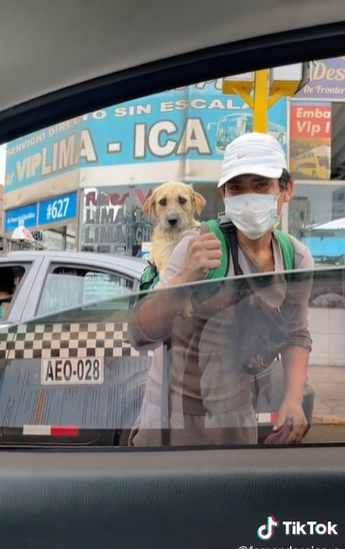 Awww: Joven sale a trabajar con su perrito en la espalda y se vuelve viral