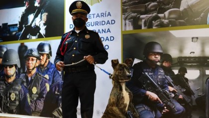 nombre-perrito-adoptado-policia-cdmx