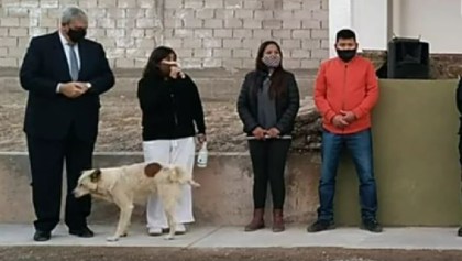 Un perrito orinó a una presidenta municipal de Argentina en pleno discurso