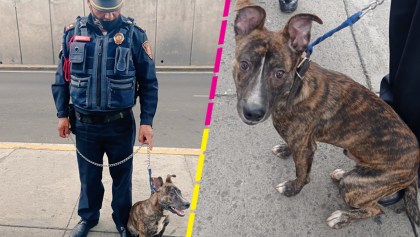 policia-adopta-perrito-cdmx