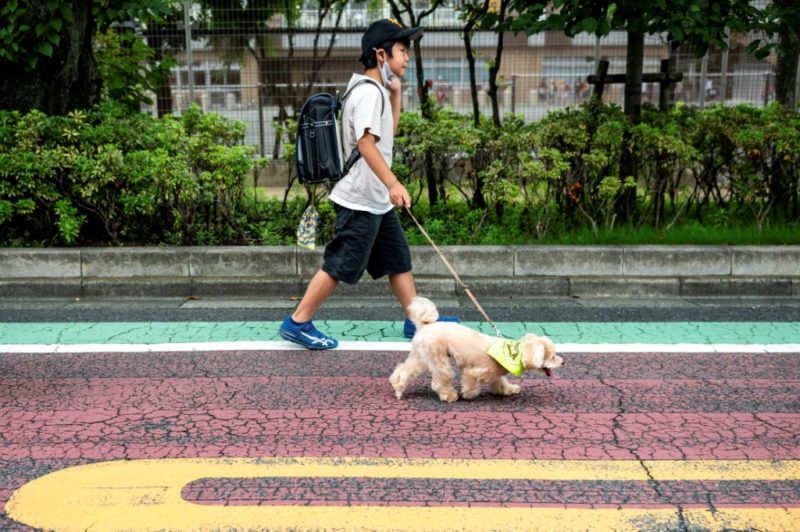 5 notas que son virales en Japón y que serían extrañas en México