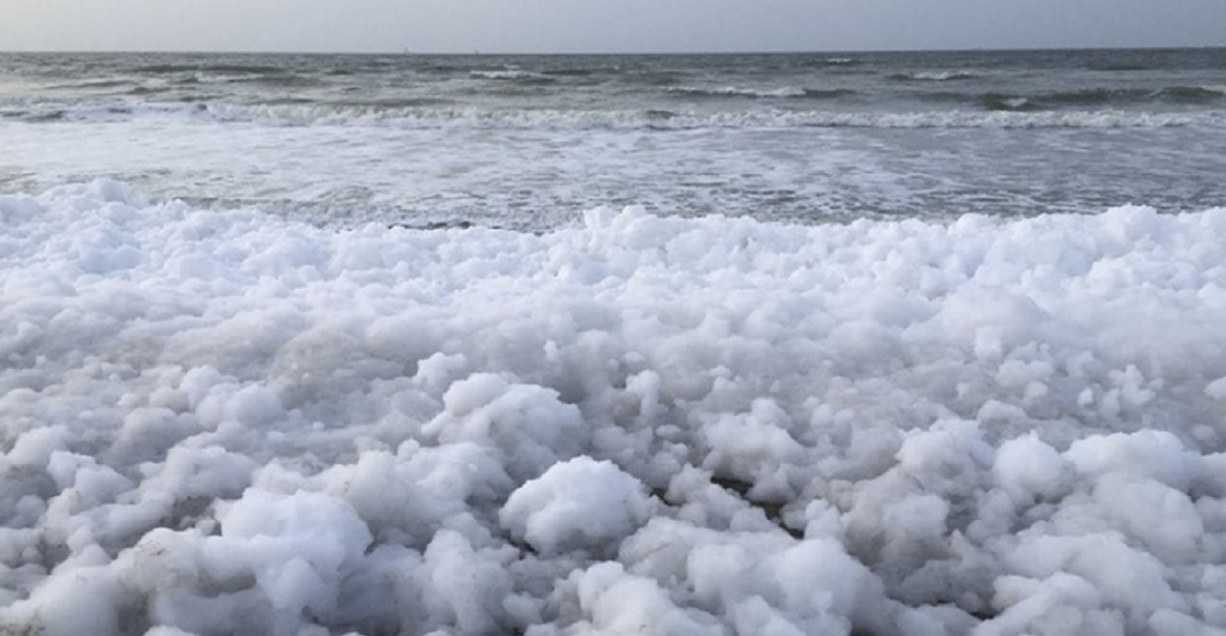 espuma blanca coatzacoalcos