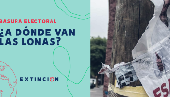 extincion-basura-electoral-adonde-van-las-lonas