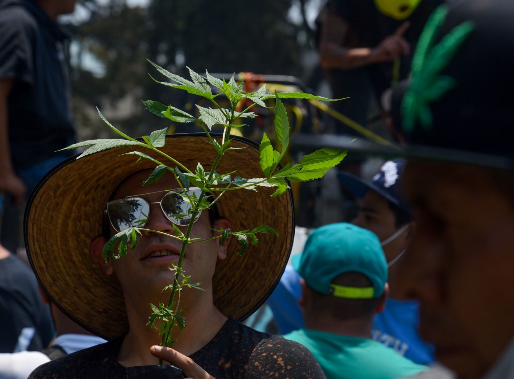 La Iglesia Católica considera que legalizar la marihuana nos haría esclavos de ella