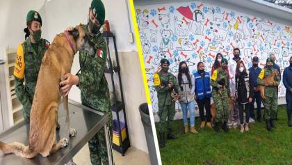 ¡Guau! ‘Los Perritos de Santa Lucía’, el refugio que Sedena creó en la zona AIFA