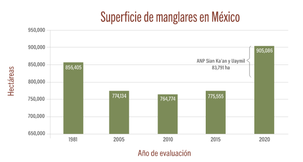 superficie-manglares-mexico