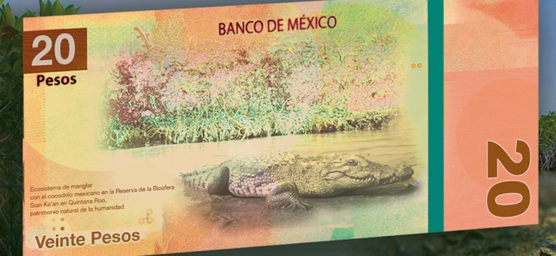 billete-20-pesos-filtracion-50