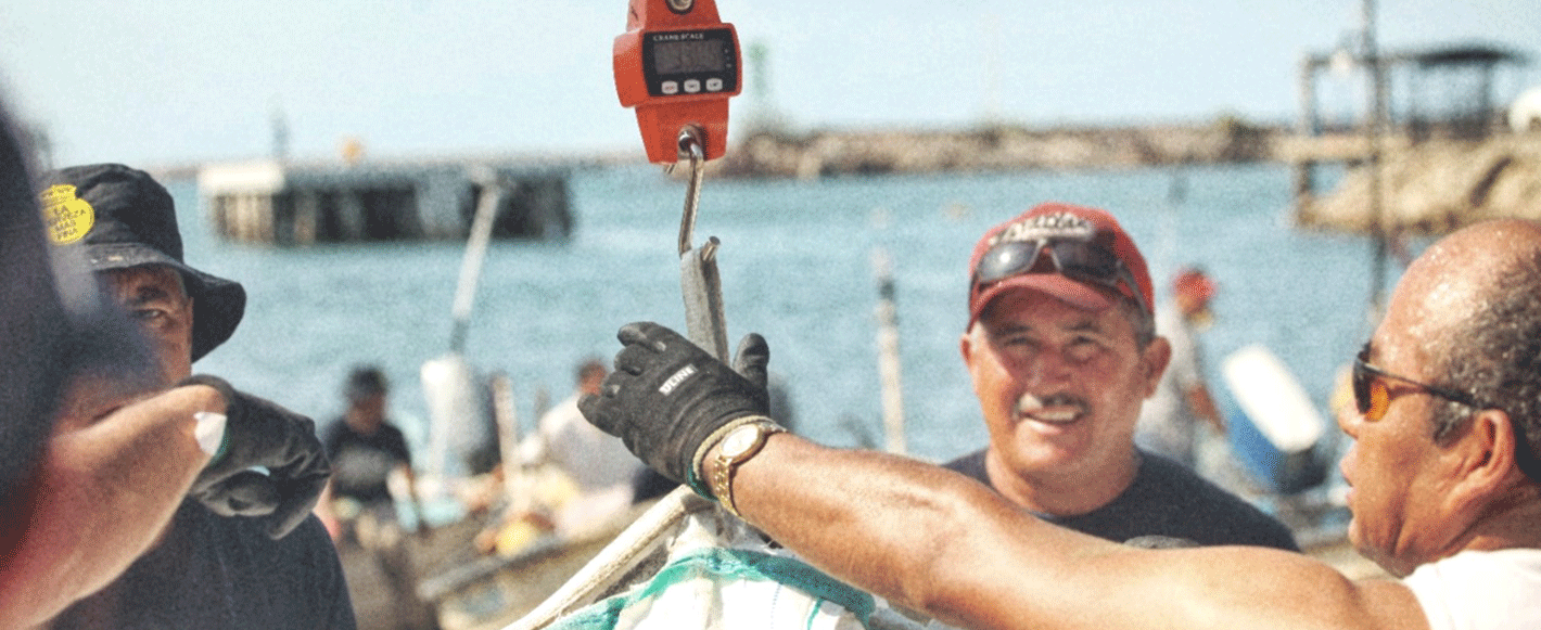 corona-campeonato-pesca-plástico-2