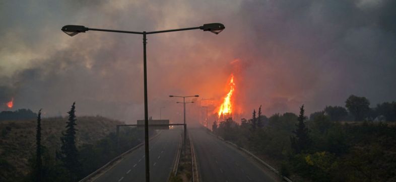 incendios-forestales-record-dioxido-carbono