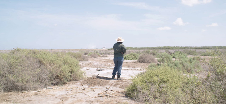 'Te nombré en el silencio', el documental sobre las madres rastreadoras que caminan sobre muertos