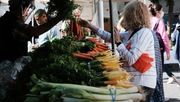 alimentos-mundo-desperdicio